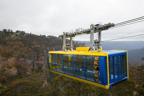 All-Inclusive Blue Mountains Tour In A Luxury Mercedes Sprinter - Southport Accommodation 10