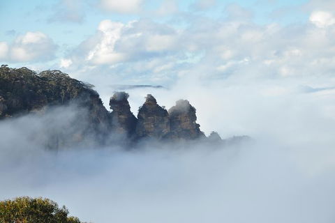 All-Inclusive Blue Mountains Tour In A Luxury Mercedes Sprinter - Southport Accommodation 15