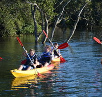 Kayak and SUP Guided Tours - Southport Accommodation