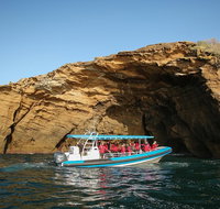 Hunter Coastal Adventure Tour by Boat from Newcastle - Southport Accommodation