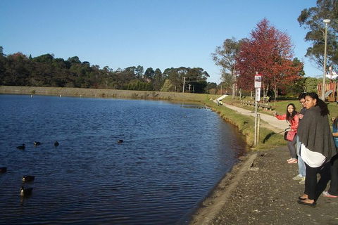 All-Day Blue Mountains Private Tour With Professional Guide For Up To 4 People - Southport Accommodation 24