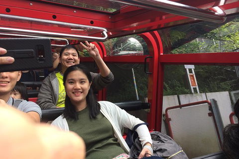 All-Day Blue Mountains Private Tour With Professional Guide For Up To 4 People - Southport Accommodation 15