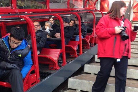 All-Day Blue Mountains Private Tour With Professional Guide For Up To 4 People - Southport Accommodation 8