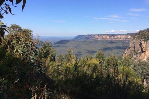 All-Day Blue Mountains Private Tour With Professional Guide For Up To 4 People - Southport Accommodation 4