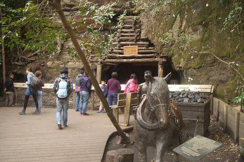 All-Day Blue Mountains Private Tour With Professional Guide For Up To 4 People - Southport Accommodation 9