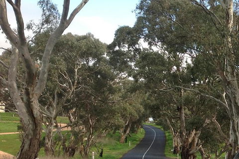 All-Day Blue Mountains Private Tour With Professional Guide For Up To 4 People - Southport Accommodation 22
