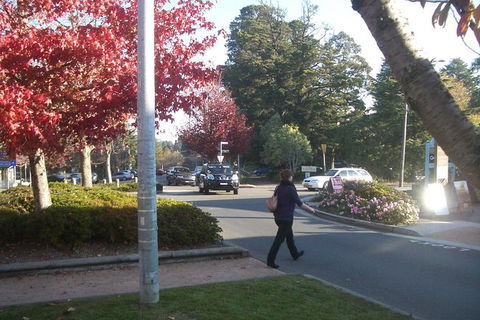 All-Day Blue Mountains Private Tour With Professional Guide For Up To 4 People - Southport Accommodation 12