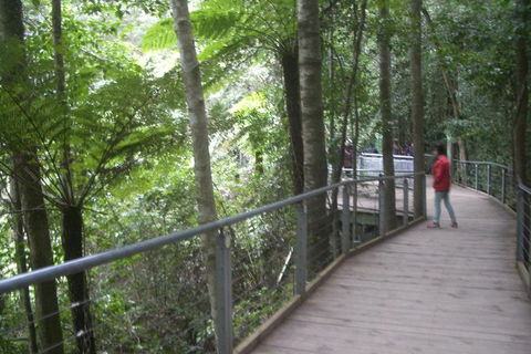 All-Day Blue Mountains Private Tour With Professional Guide For Up To 4 People - Southport Accommodation 20