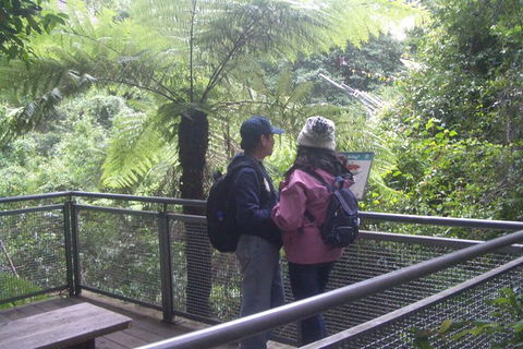 All-Day Blue Mountains Private Tour With Professional Guide For Up To 4 People - Southport Accommodation 19