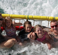 Jervis Bay Boom Netting and Dolphins Tour - Southport Accommodation