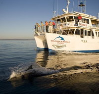 Jervis Bay Dolphin Watch Cruise - Southport Accommodation