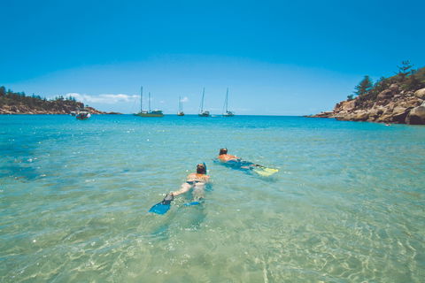 Arcadia At Magnetic Island - Southport Accommodation 0