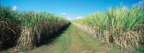 Avondale - Accommodation Southport 2