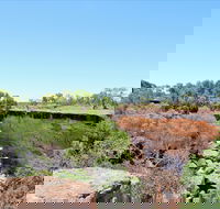 Bladensburg National Park - Accommodation Southport