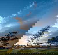 Cleveland Nandeebie/Indillie