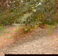 Daleys Point Walking Track - Accommodation Southport