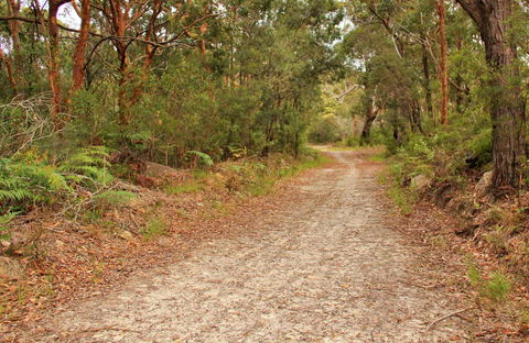 Daleys Point Walking Track - Southport Accommodation 0
