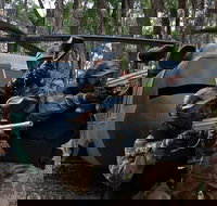 Delta Force Paintball Appin - Accommodation Southport