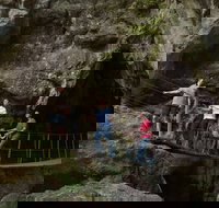 Dig the Tropic - Southport Accommodation