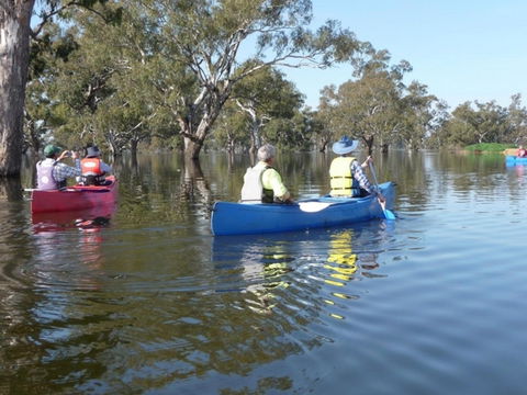 Doodle Cooma Swamp - Southport Accommodation 0