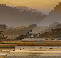 Greens Beach - Accommodation Southport