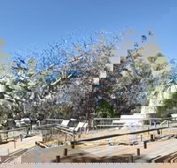 Gregory's Tree Timber Creek - Accommodation Southport