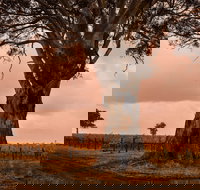 Hynam - Accommodation Southport