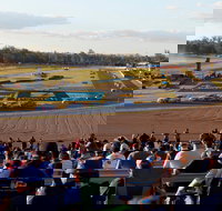 Ipswich Motorsport Precinct - Southport Accommodation