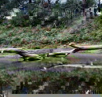 Kayaking Upper Tuross River and Bumbo Lake - Accommodation Southport