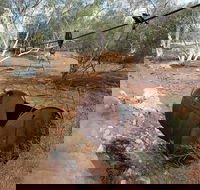 Kingsford Smith Mail Run - Southport Accommodation