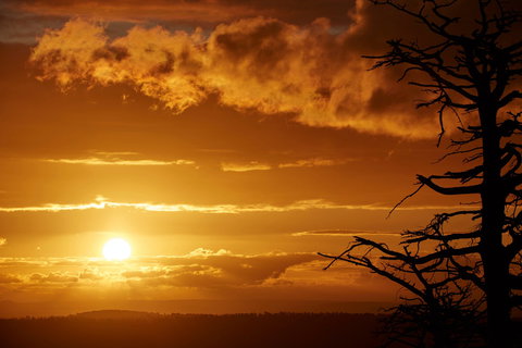 Lady Stonehavens Lookout - Accommodation Southport 0