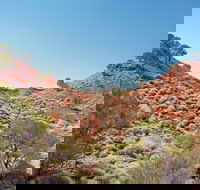 Lark Quarry Conservation Park - Accommodation Southport