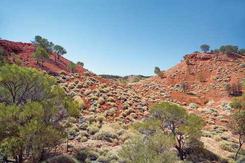 Lark Quarry Conservation Park - Southport Accommodation 0