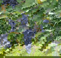 Luskintyre - Southport Accommodation