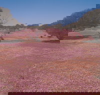 Meekatharra - Southport Accommodation