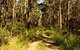 Mining Road Fire Trail, Old Gibber Road Rire Trail - thumb 0
