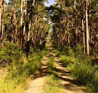 Mining Road Fire Trail Old Gibber Road Rire Trail - Southport Accommodation