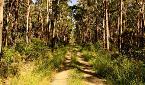 Mining Road Fire Trail, Old Gibber Road Rire Trail - Southport Accommodation 0