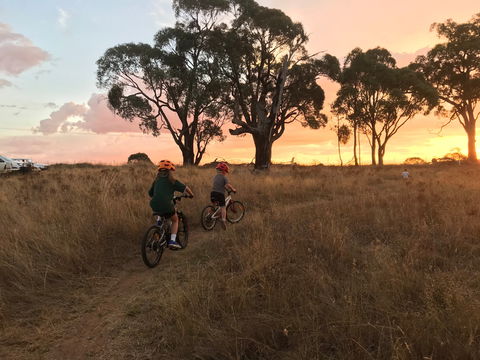 Mountain Bike Trails Tumbarumba - Southport Accommodation 2