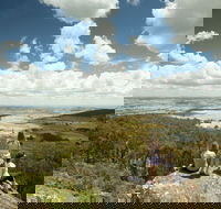 Mt Wombat Lookout - Southport Accommodation