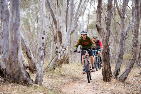 Nail Can Hill - Accommodation Southport 1