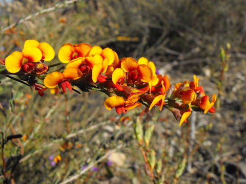 Nail Can Hill - Accommodation Southport 2