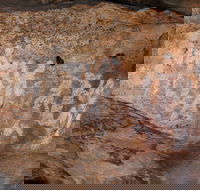 Ngamadjidj Shelter - Wartook Valley