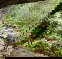 Old Great North Road Bike Ride - Accommodation Southport