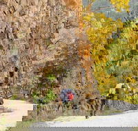 Old Great North Road - World Heritage Walk - Accommodation Southport