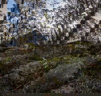 Pheasants Peak Walking Track - Southport Accommodation