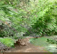 Pirianda Gardens - Accommodation Southport