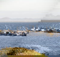 Portarlington - Accommodation Southport