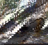 PS Providence historic site - Accommodation Southport