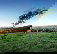 Ravensbourne National Park - Southport Accommodation